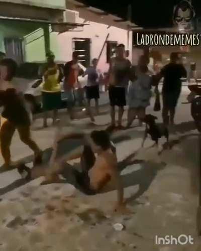 Que bonita vecindad 🤝