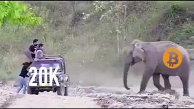 Its just toying with us...