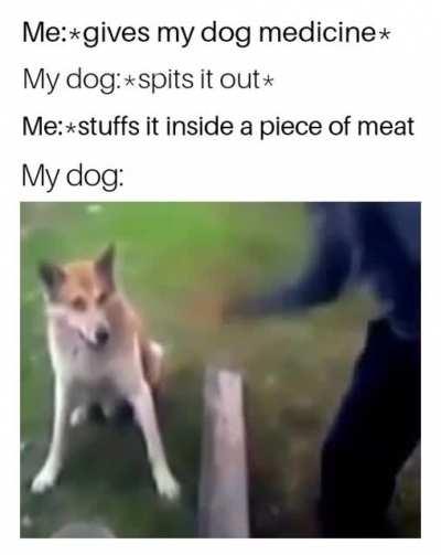 This is some serious gourmet shit