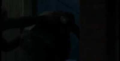 Hahaha Tommy got whooped 😂😂😂😂😂😂