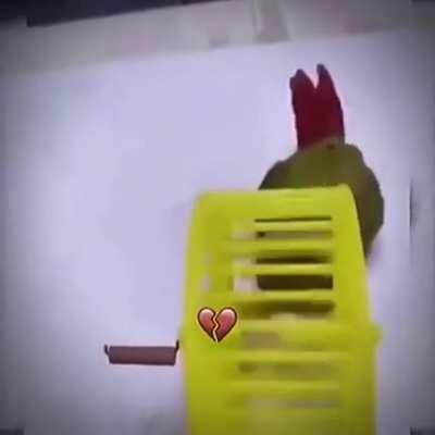 He woke up and chose violence