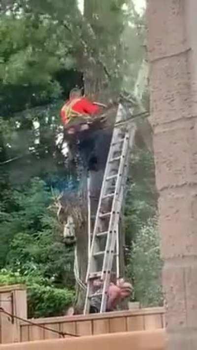 Well yeah thats done but......