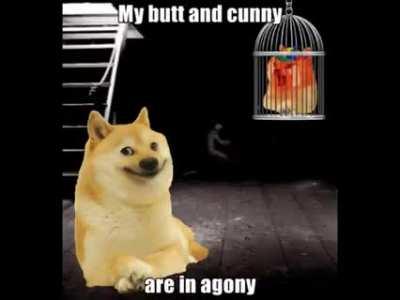 give me cum or give me death