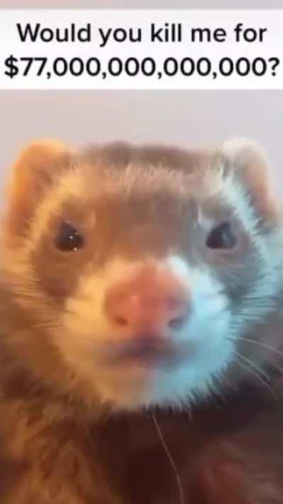 $77,000,000,000,000 is $77,000,000,000,000