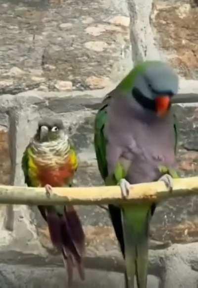 Henrietta had been so touch-starved since divorcing Jason. Unfortunately, this made her willfully oblivious to her date’s boundaries