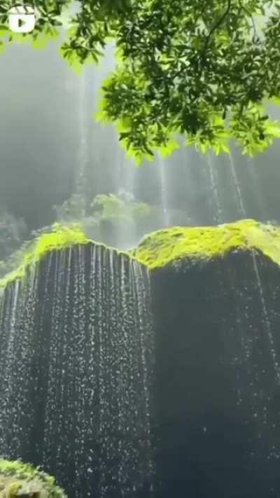 SATISFYING NATURE 🌿🍃