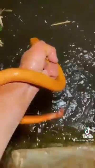 I literally can’t think of a title but holy shit