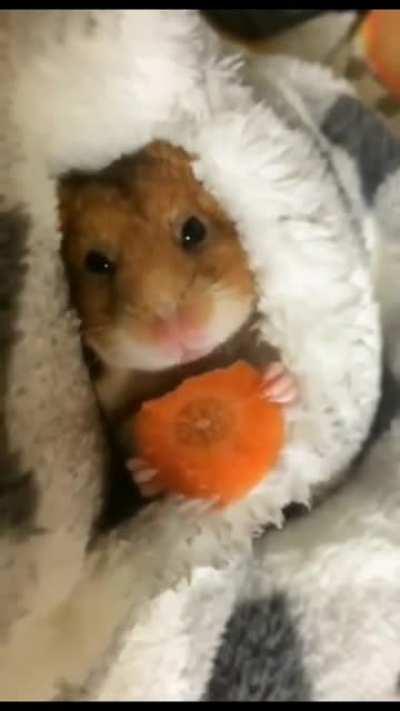 Pretty much me in a few hours...maybe a touch less cute but...