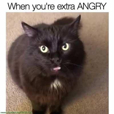 When you're extra ANGRY