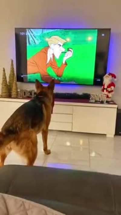Dog's hilarious reaction to favorite film!
