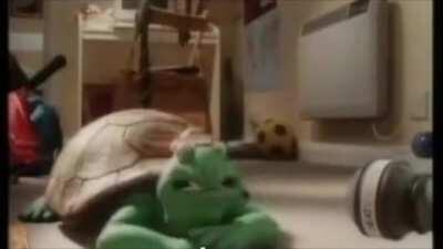 Damn, da turtle been through some 😳