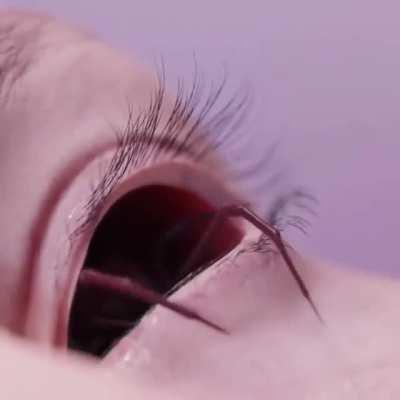 Thanks, I hate eye spiders.