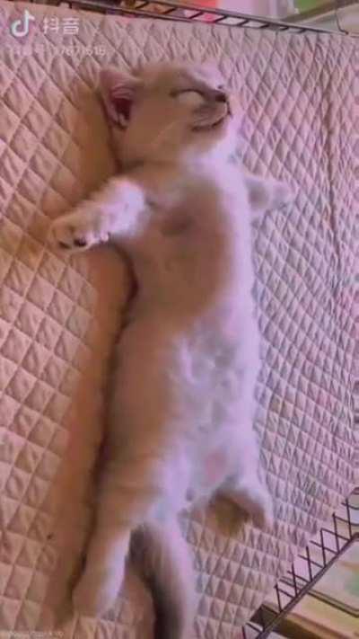 Yeah, I am just gonna lay here for a bit