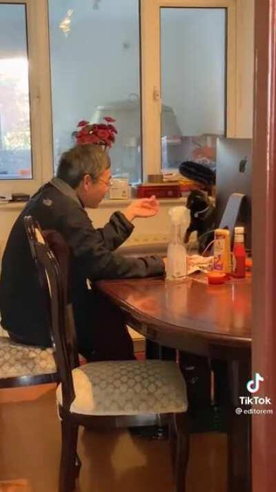 Dad against pets meets kitty