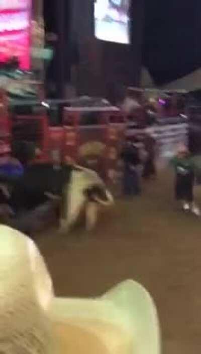 Bull doesn’t like to be ridden