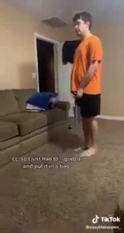 I want to prank my mom and do this to her. Thoughts?