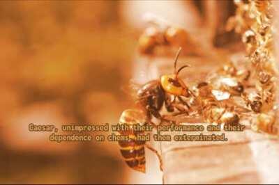 2(0)20 was truly an insane fu(c)kin year - Extended Cut