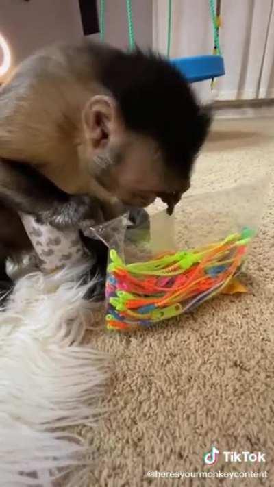 he's smarter than my classmates