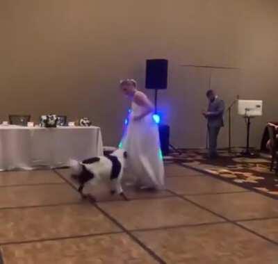 Женилась на кобеле