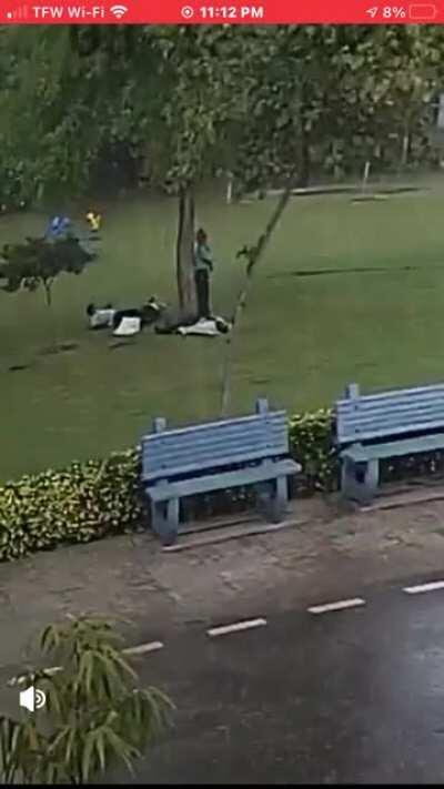 Should never stand under a tree during a thunderstorm!