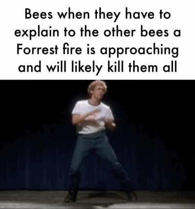 Fun language they have