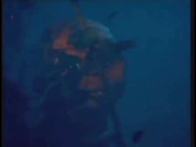 Todo el mundo habla de los Ovnis en USA, pero se olvidan que a nosotros ya nos visitaron...👽👽👽