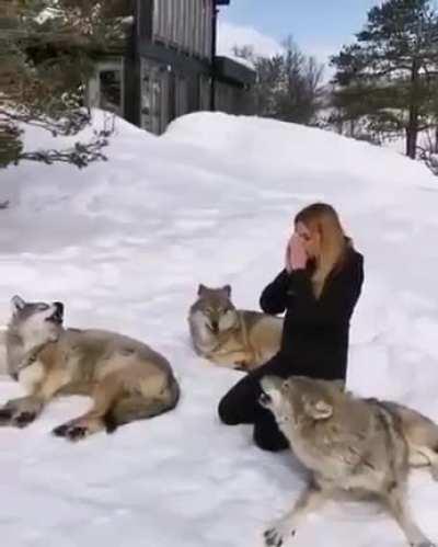 Welcome to the pack 🐺🐺🐺