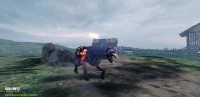 I regret not capturing more nostalgic footage. Probably the best memory I have from the early seasons.