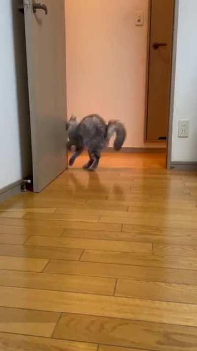 It can't get better than this