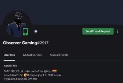 Average discord user