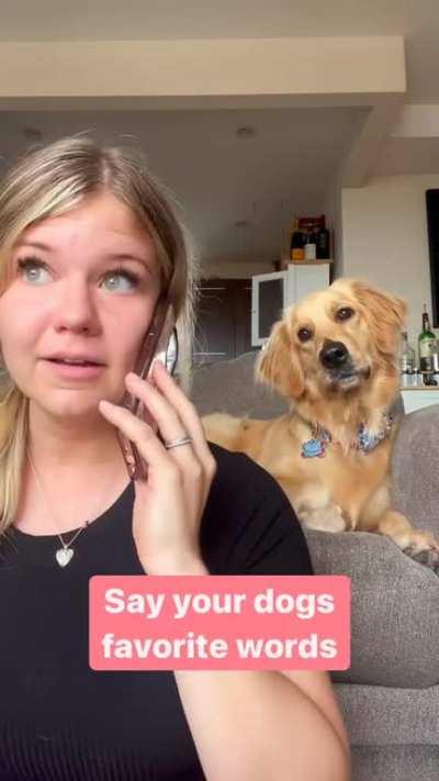 Why is mom saying my favorite words over and over again?