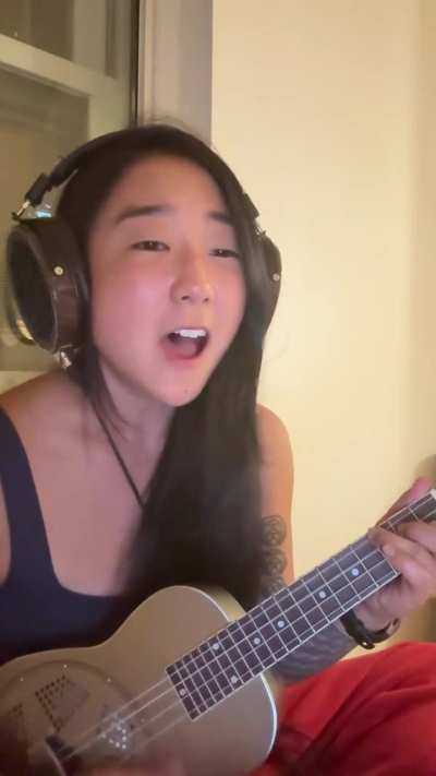 Mr. Tambourine Man (Bob Dylan) cover on the ukulele