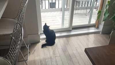 How can I say no to a face like that?