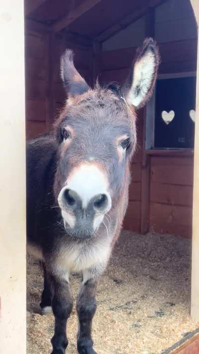 Rain rain…. and more rain..