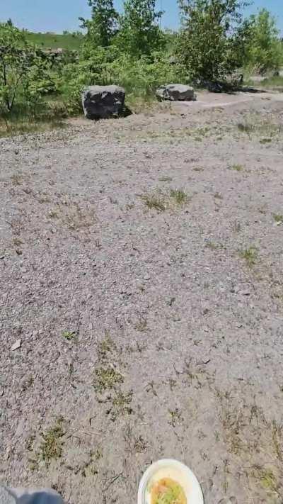 sucking strange dick in public is kinda my kink