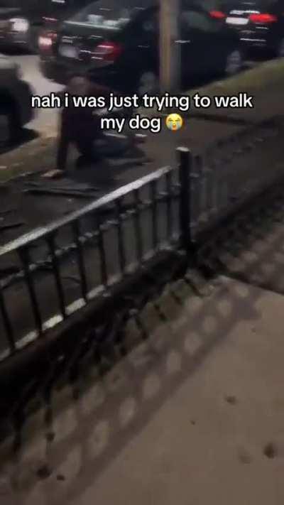 Even the dog was confused 