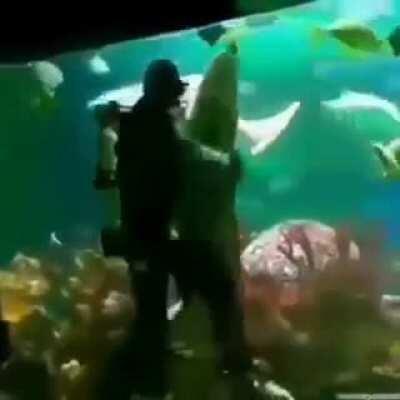 Chales me mutearon en Discord😞