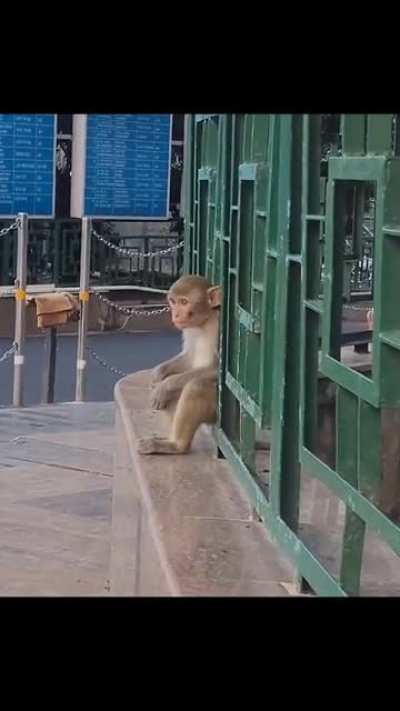 AIIMS ... He be like... Oo Bhenc**d papa a gye kya ? jaldi se padhne baith Jata hu