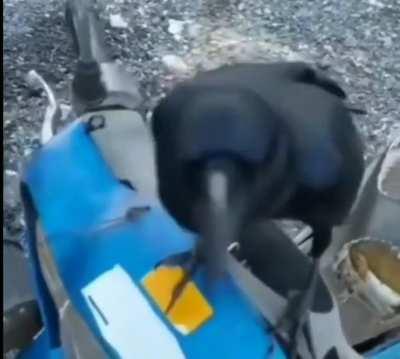 CROWUZI (Posted again cause of audio issues)