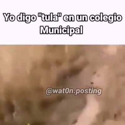 Intentando salir en M.C.L.M.I