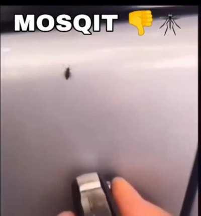 Mosquit👎