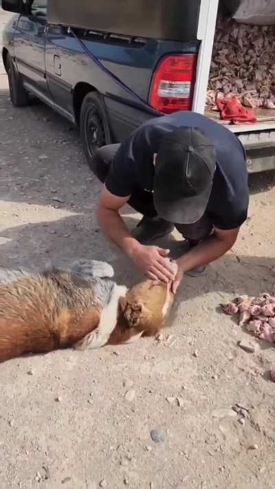 Dog thanking man for giving him food