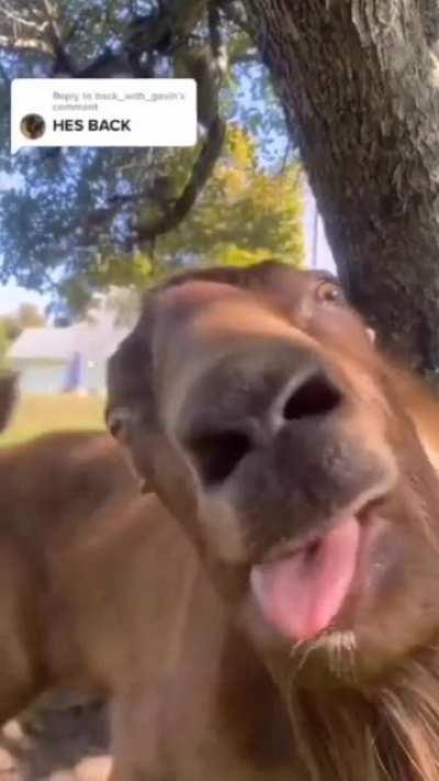 What's wrong with Him?