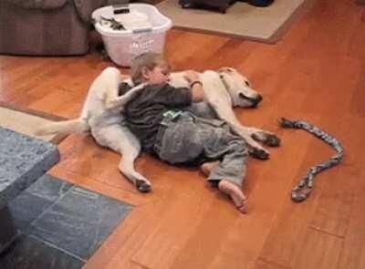 I'll scratch your back if you scratch mine