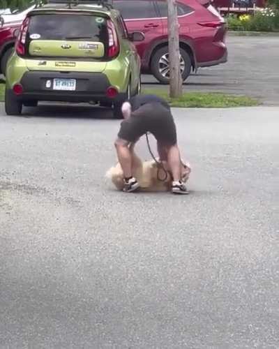 HMB I have to carry my dog ​​home because he decided not to walk anymore