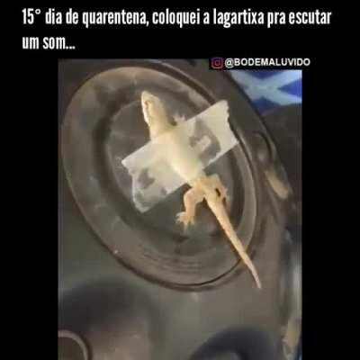 Por que não fazer-mos este teste em vídeo Renan?