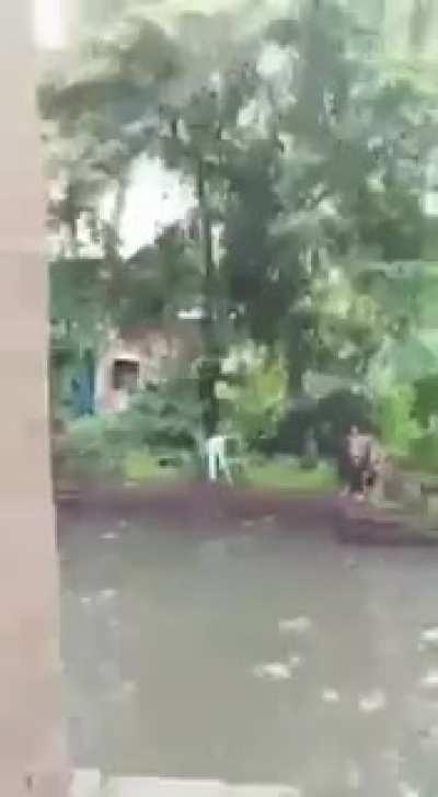 Trying to swing into the river