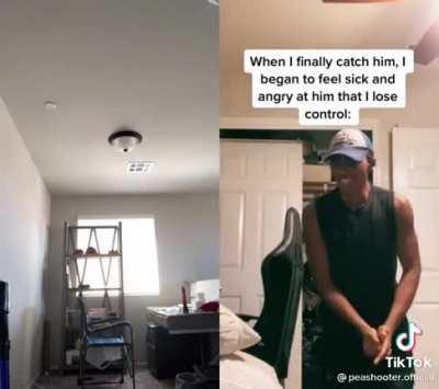 Nooo get up peashooter 😭