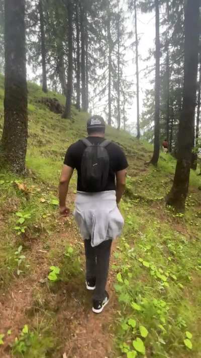 Somewhere in Himachal[OC]