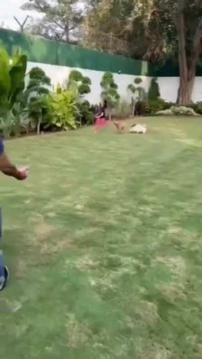 ploxxx Gambhir 😭😭😭😭